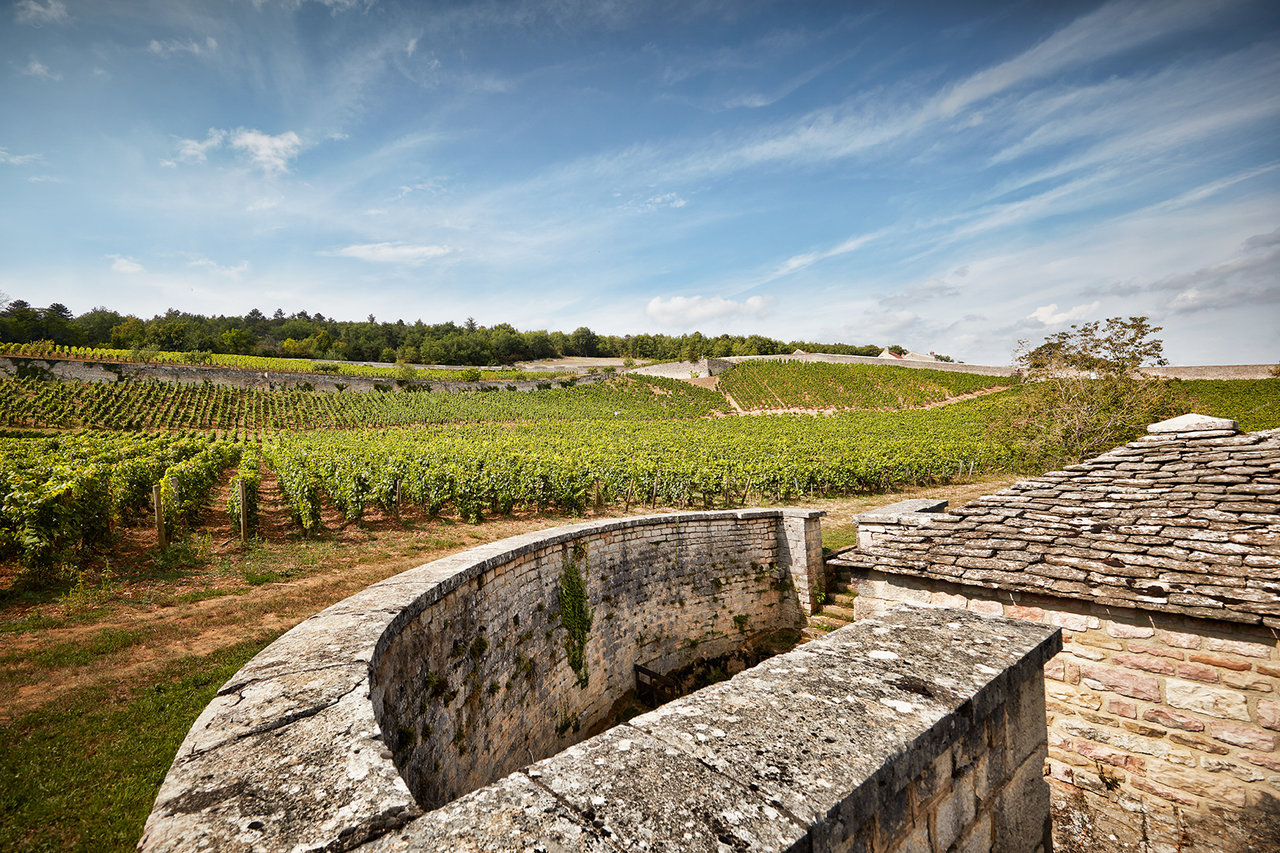 © Domaine de l'Arlot - Serge Chapuis - 2017